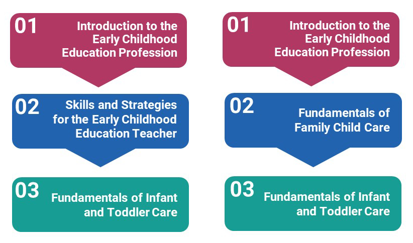 Recommended training order: 1. Introduction to the Early Childhood Education Profession 2. Skills and Strategies for the Early Childhood Education Teacher 3. Fundamentals of Infact and Toddler Care