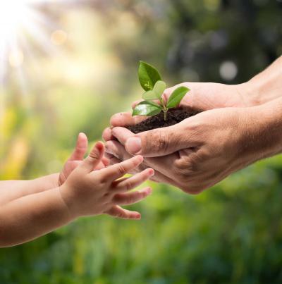 An adult holding a plant and a child's hands reaching out to touch it.