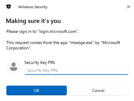 Security Key Pin 