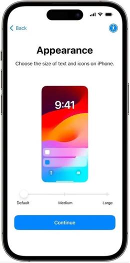 iphone appearance selection screen