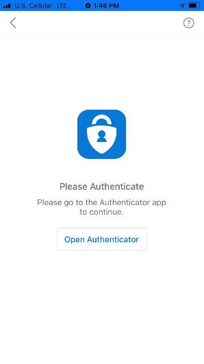 Please Authenticate Screen with Open Authenticator button