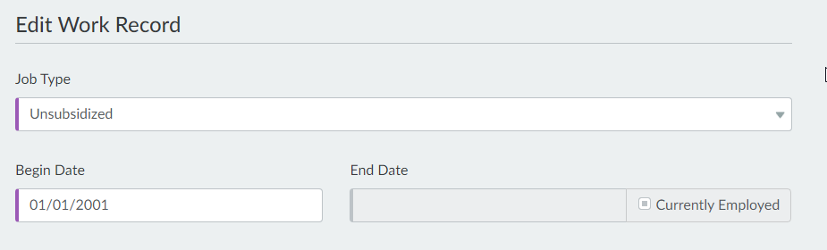 Screenshot of Job Type, Begin Date, and End Date